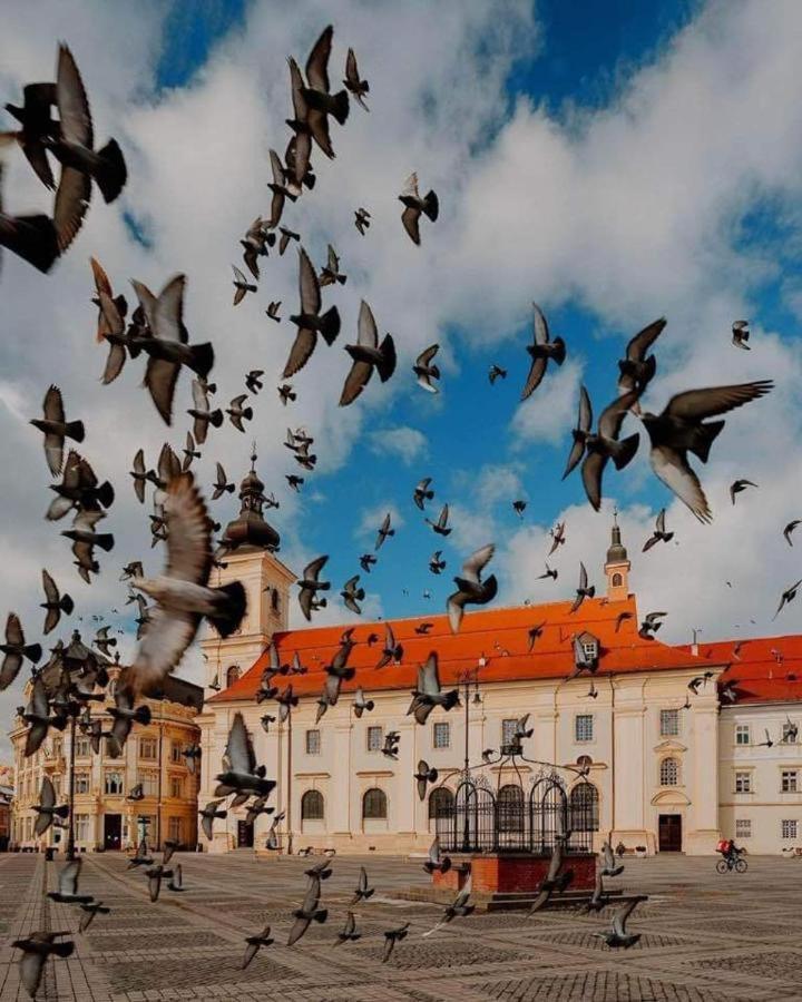 Grand Central Studios Sibiu Exterior photo